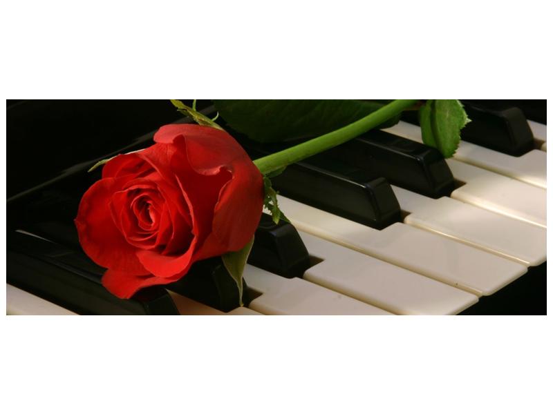 Obraz klavíru a růže (F000382F10040)