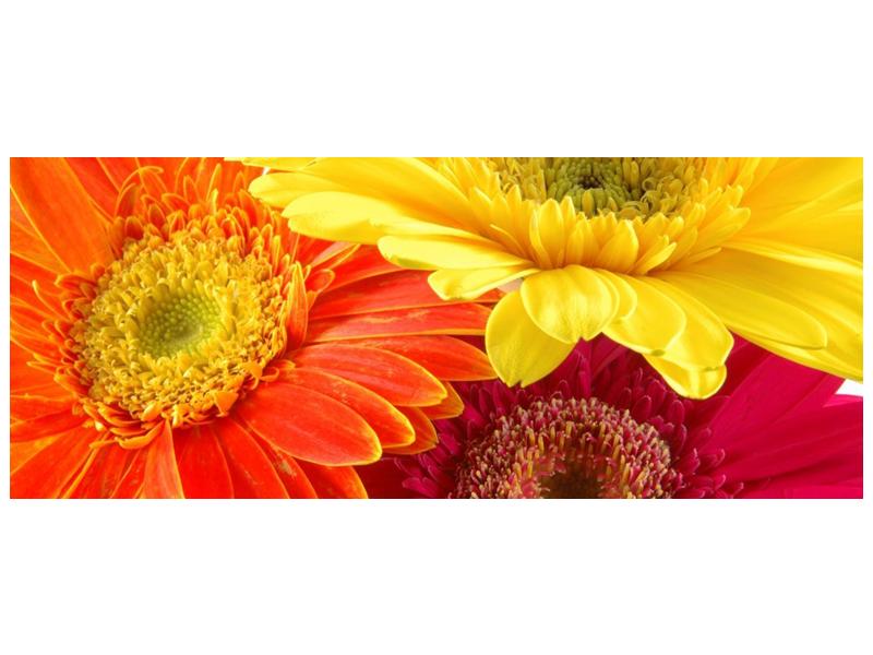 Obraz květin (F000514F10040)