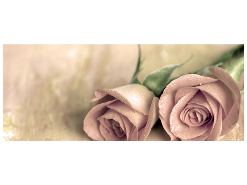 Obraz jemných růží (F001212F10040)