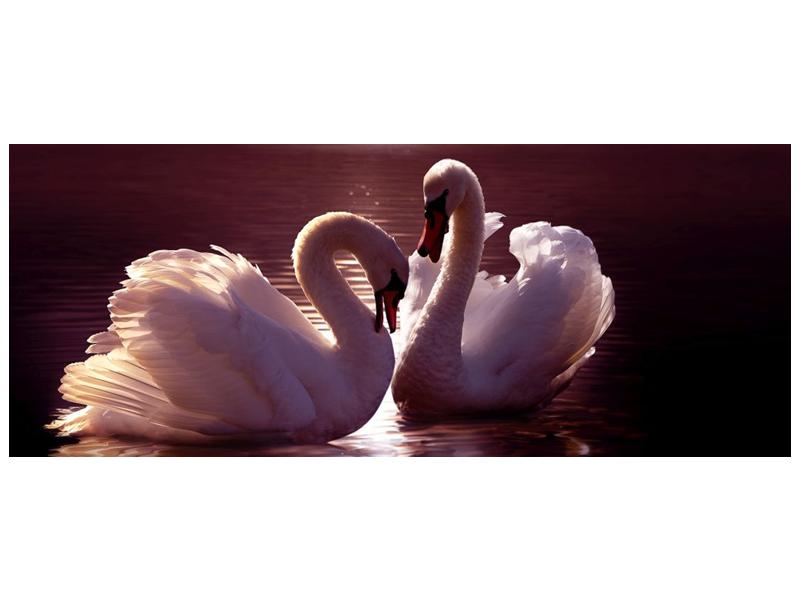 Obraz labutí na jezeře  (F002698F10040)