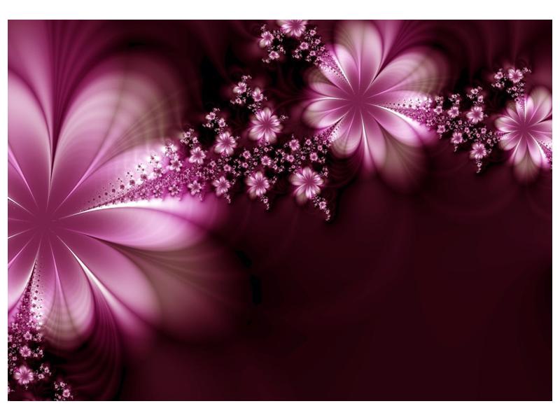 Moderní abstraktní obraz - květiny (F000408F10070)