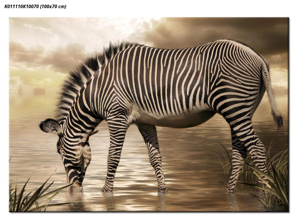 Slika zebre