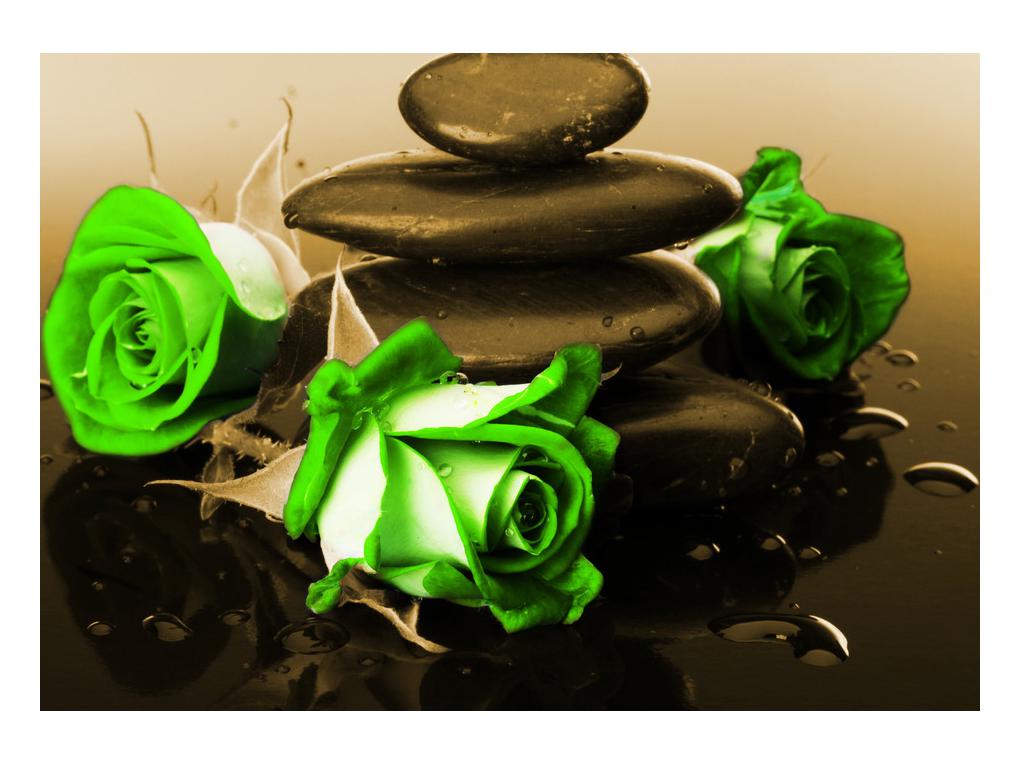 Slika zelenih ruža
