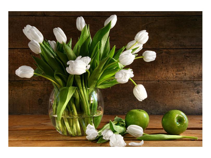 Slika belih tulipanov v vazi