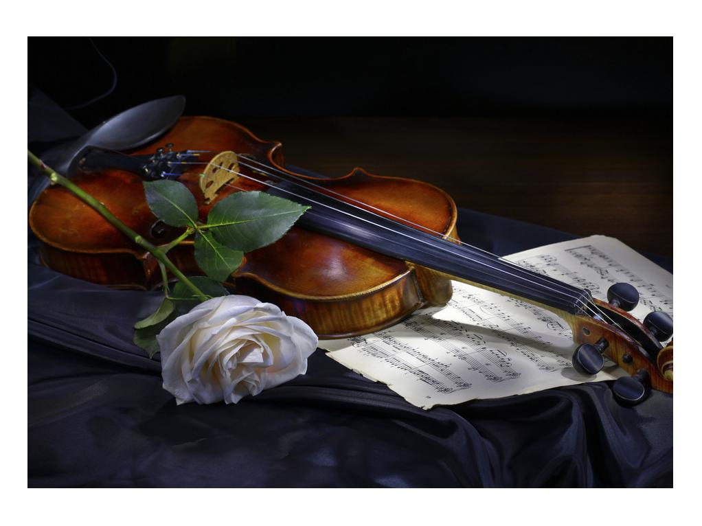 Unparalleled joy Ambiguous Tablou cu trandafir și vioară | Mivali.ro