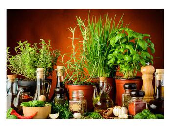 Gyógynövények és fűszerek képe