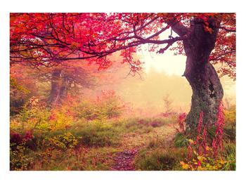 Obraz jesennej lesnej krajiny