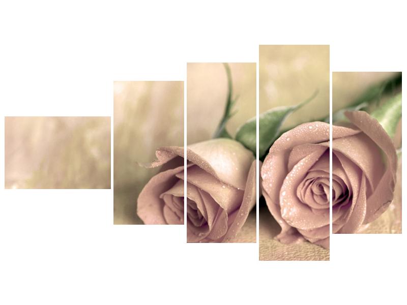 Obraz jemných růží (F001212F11060)