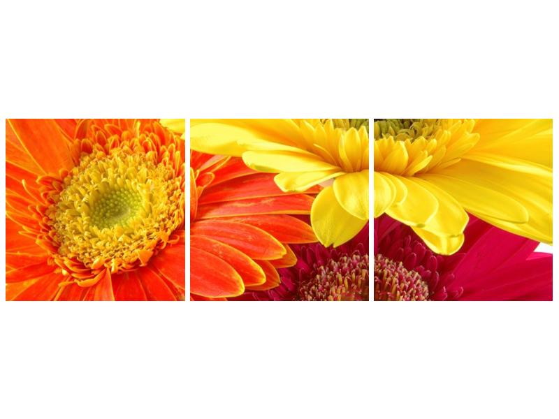 Obraz květin (F000514F12040)