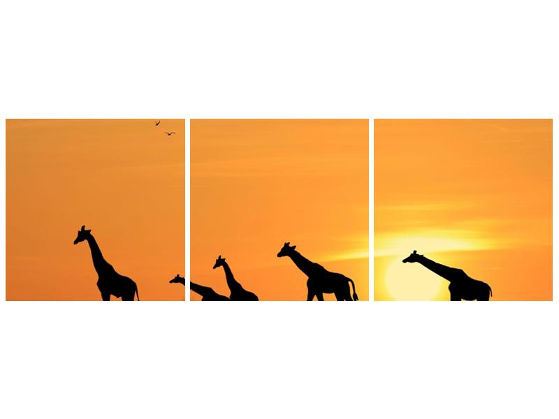 Obraz žiraf v západu slunce (F001074F12040)