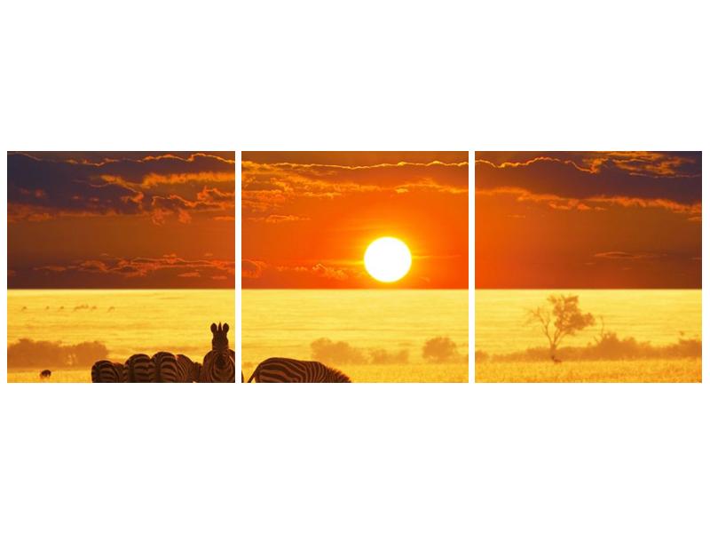 Obraz zeber se západem slunce  (F002898F12040)