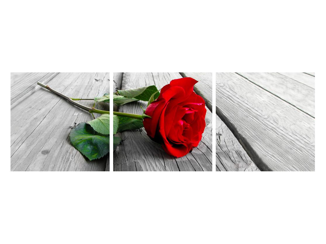 Slika vrtnice