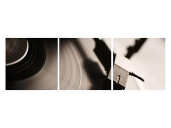 Detailný obraz gramofónovej platne
