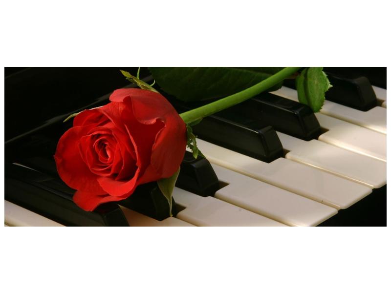 Obraz klavíru a růže (F000382F12050)