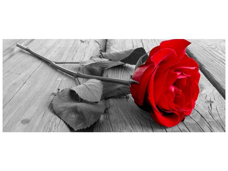 Obraz růže (F000484F12050)