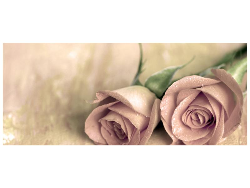 Obraz jemných růží (F001212F12050)