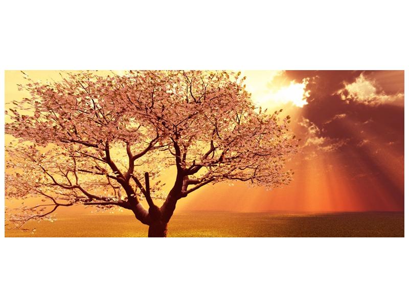 Obraz rozkvetlého stromu (F002282F12050)