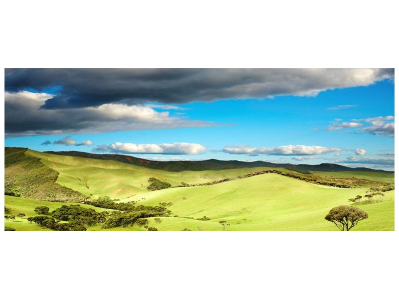 Obraz zelené krajiny s pahorky  (F002642F12050)