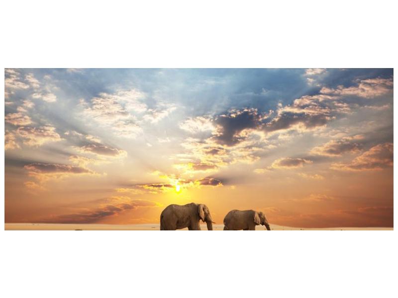 Obraz slonů putujících svanou  (F002703F12050)
