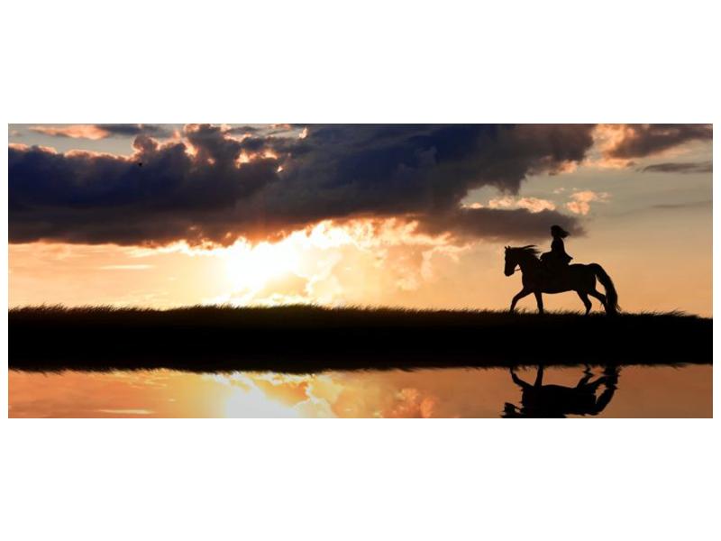 Obraz jezdce na koni při západu slunce  (F002717F12050)