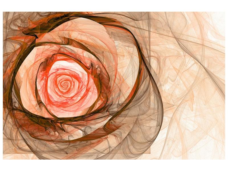 Abstraktní obraz - růže (F000794F12080)