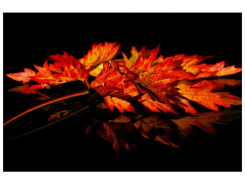 Obraz podzimních listů (F001115F12080)
