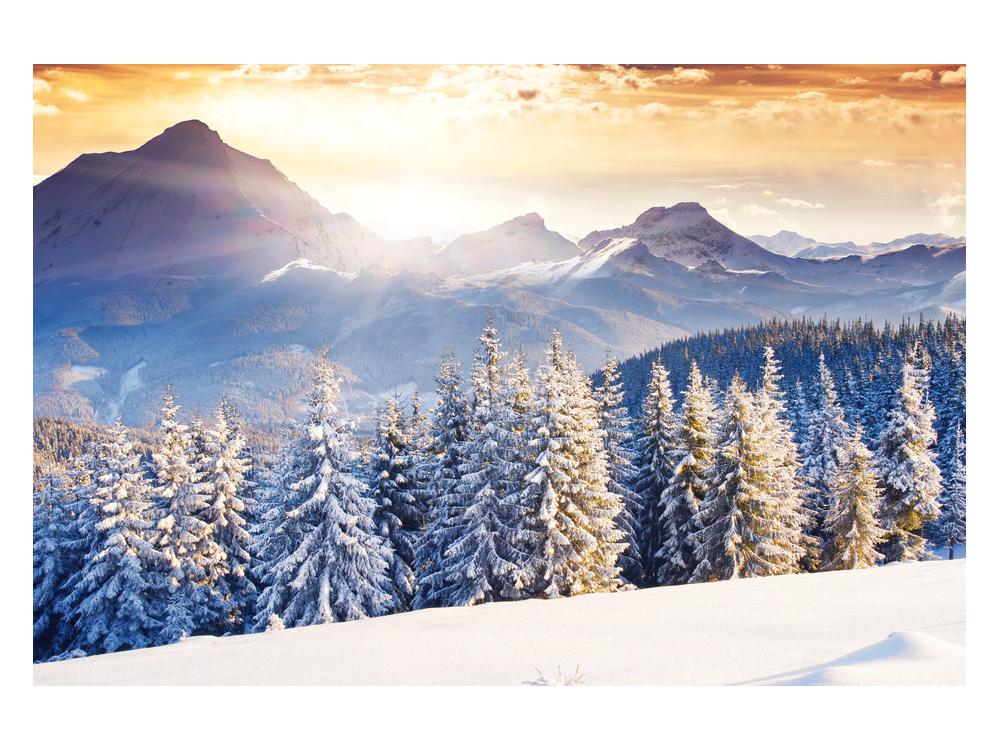 Zimska slika šumskog planinskog krajolika