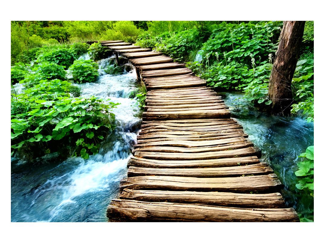 Slika lesene steze čez reko