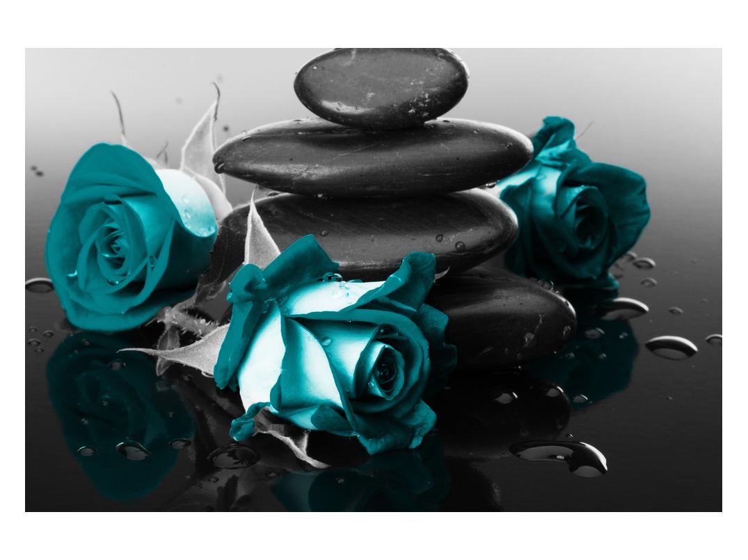 Slika modrih vrtnic
