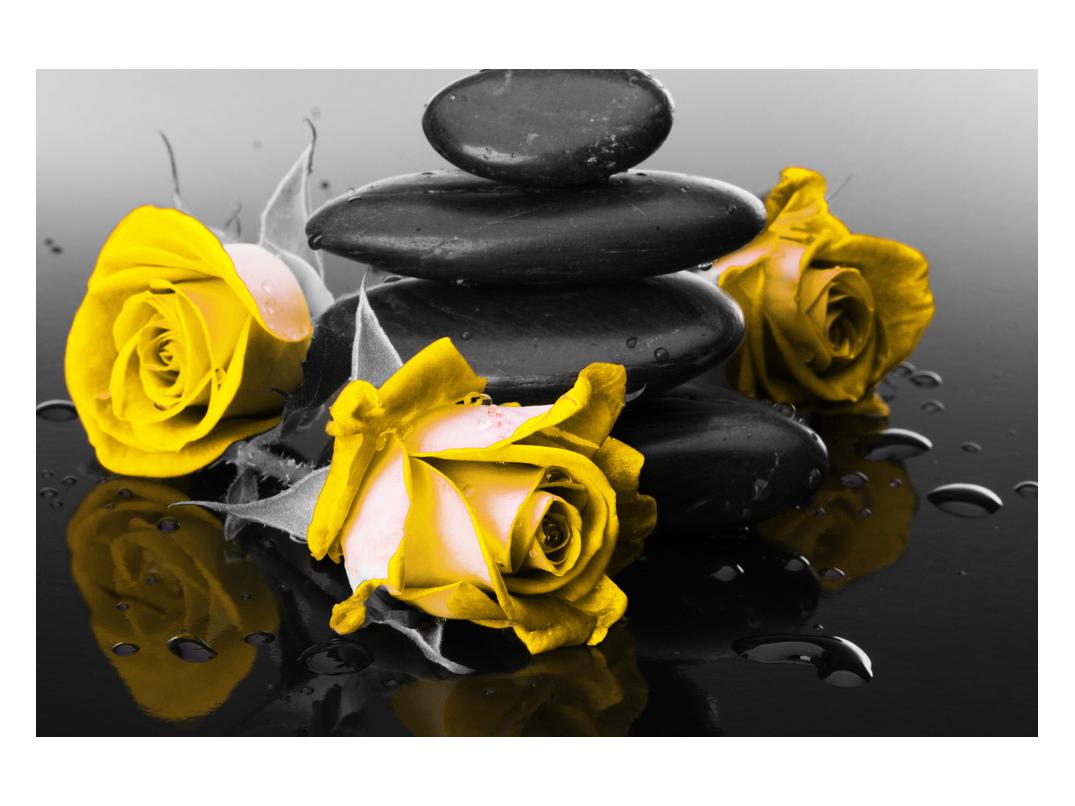 Slika žutih ruža