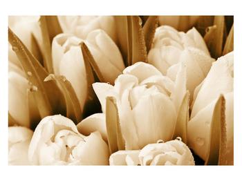 Tulipános kép