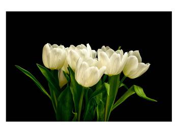 Obraz tulipánů 