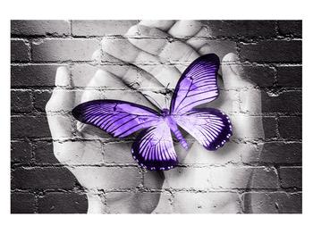 Moderný obraz dlaní s motýľom