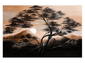 Obraz stromu, hôr a slnka