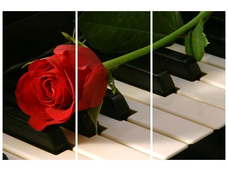 Obraz klavíru a růže (F000382F120803PCS)