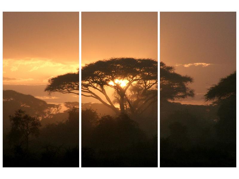 Obraz stromu a západu slunce (F000523F120803PCS)
