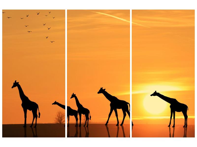 Obraz žiraf v západu slunce (F001074F120803PCS)