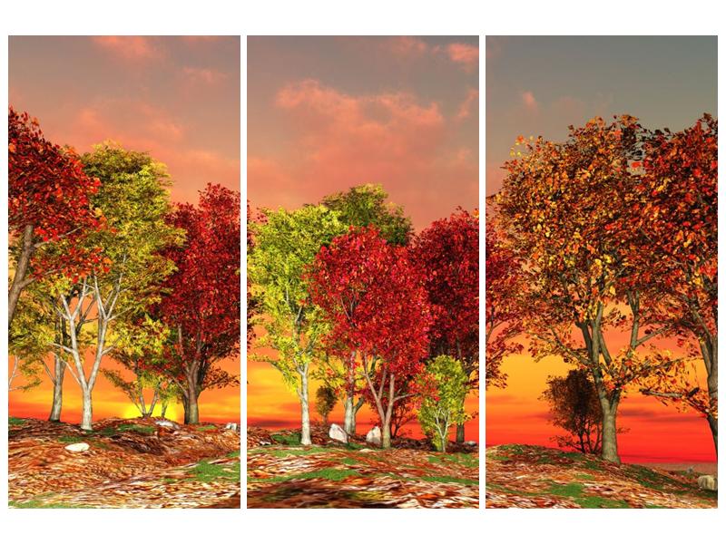 Obraz barevných stromů (F002283F120803PCS)