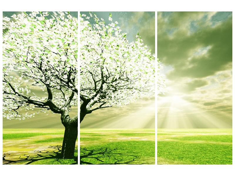 Obraz stromu na jaře (F002291F120803PCS)