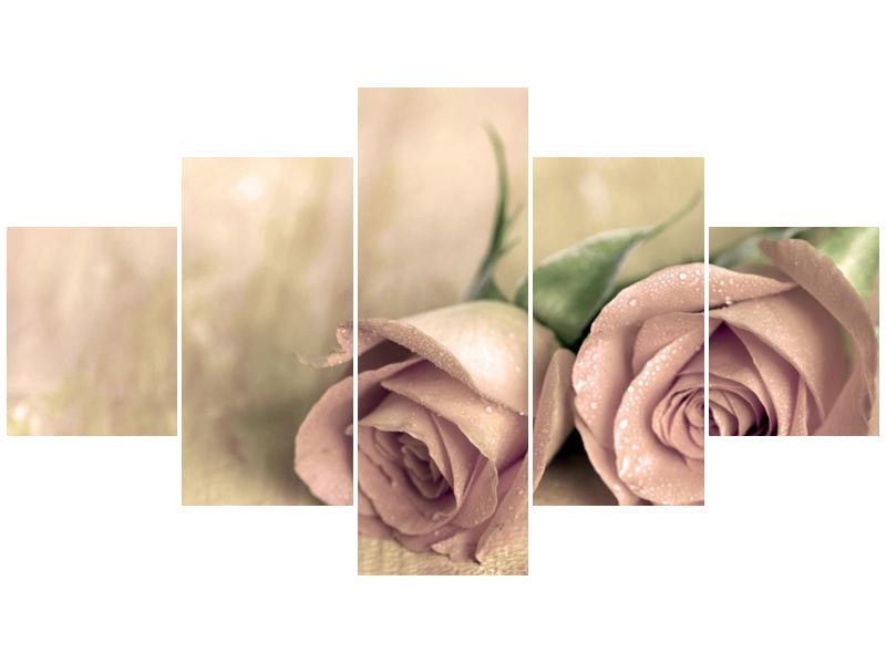 Obraz jemných růží (F001212F12570)