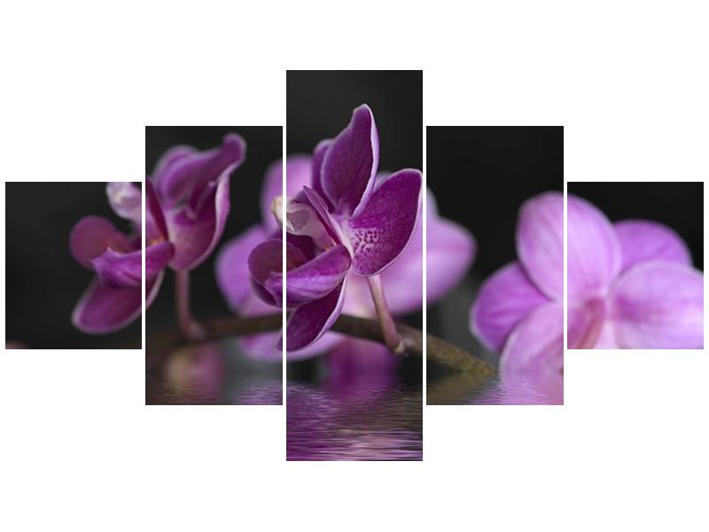 Obraz fialové květiny na hladině (F001231F12570)