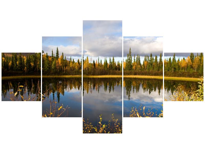 Obraz rybníka u lesa (F001637F12570)