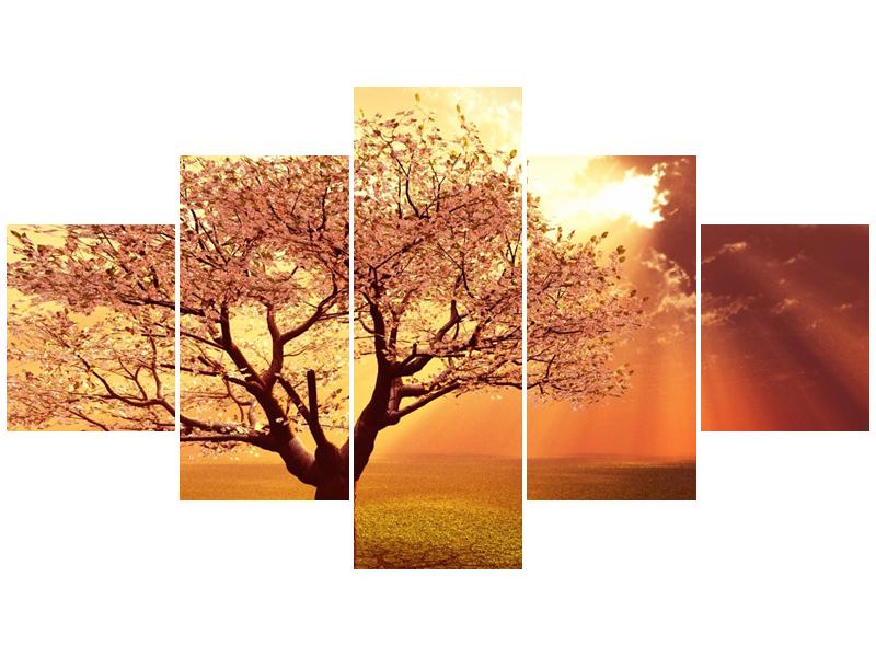 Obraz rozkvetlého stromu (F002282F12570)