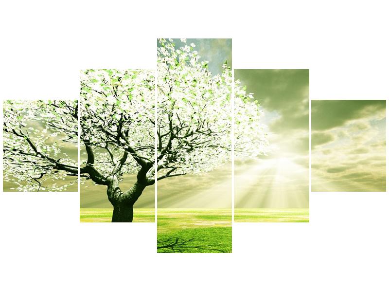 Obraz stromu na jaře (F002291F12570)