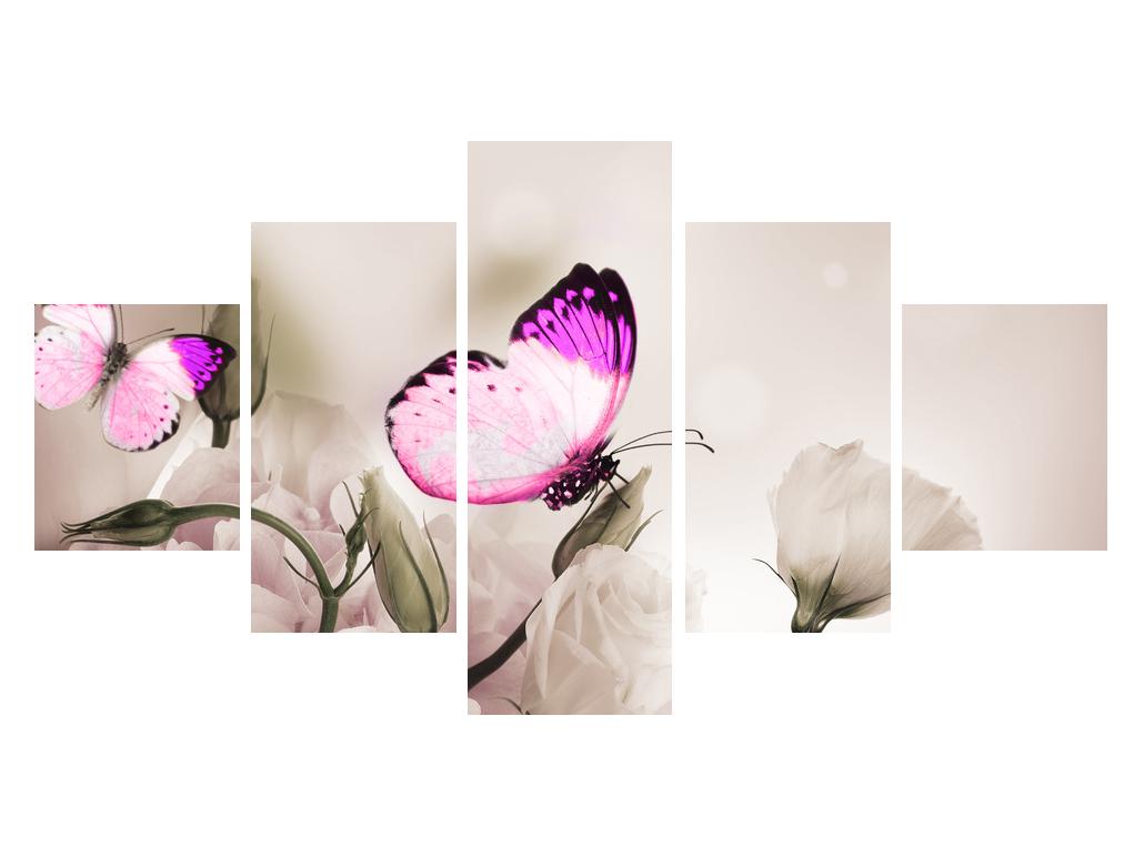 Slika metulja