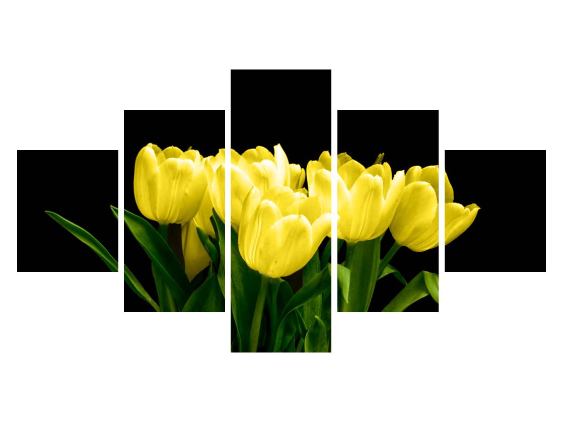 Slika žutih tulipana