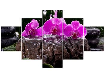 Obraz tří fialových orchidejí na kameni