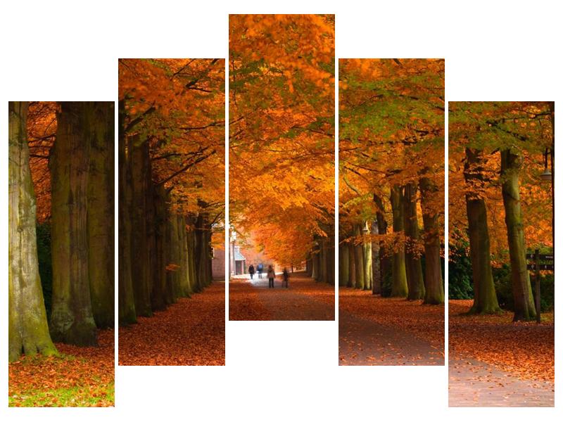 Krásný obraz aleje stromů na podzim (F000014F12590)