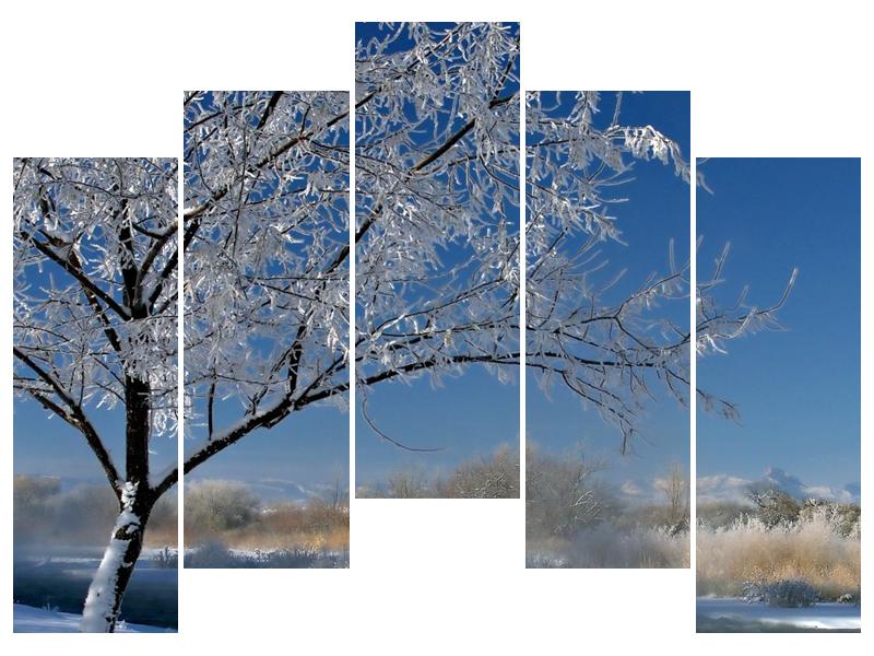 Zimní obraz jinovatky  (F000407F12590)