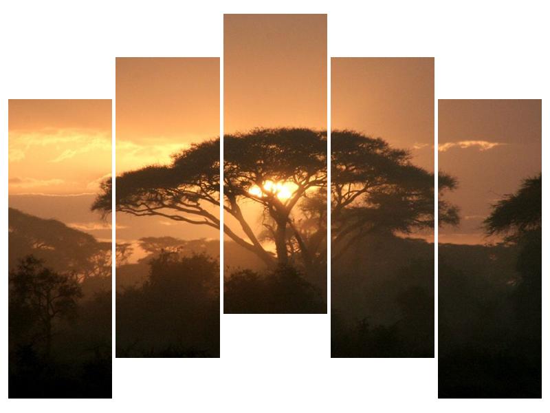 Obraz stromu a západu slunce (F000523F12590)